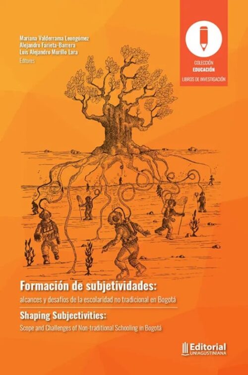 Formación De Subjetividades: Alcances Y Desafíos De La Escolaridad No Formal En Bogotá