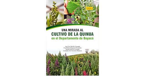 Una Mirada Al Cultivo De La Quinua En El Departamento De Boyacá
