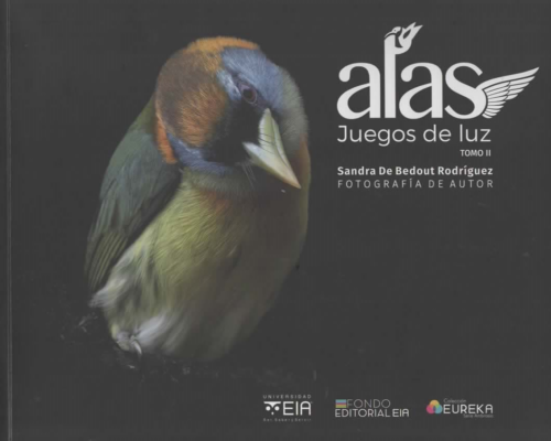 ALAS JUEGO DE LUZ TOMO II